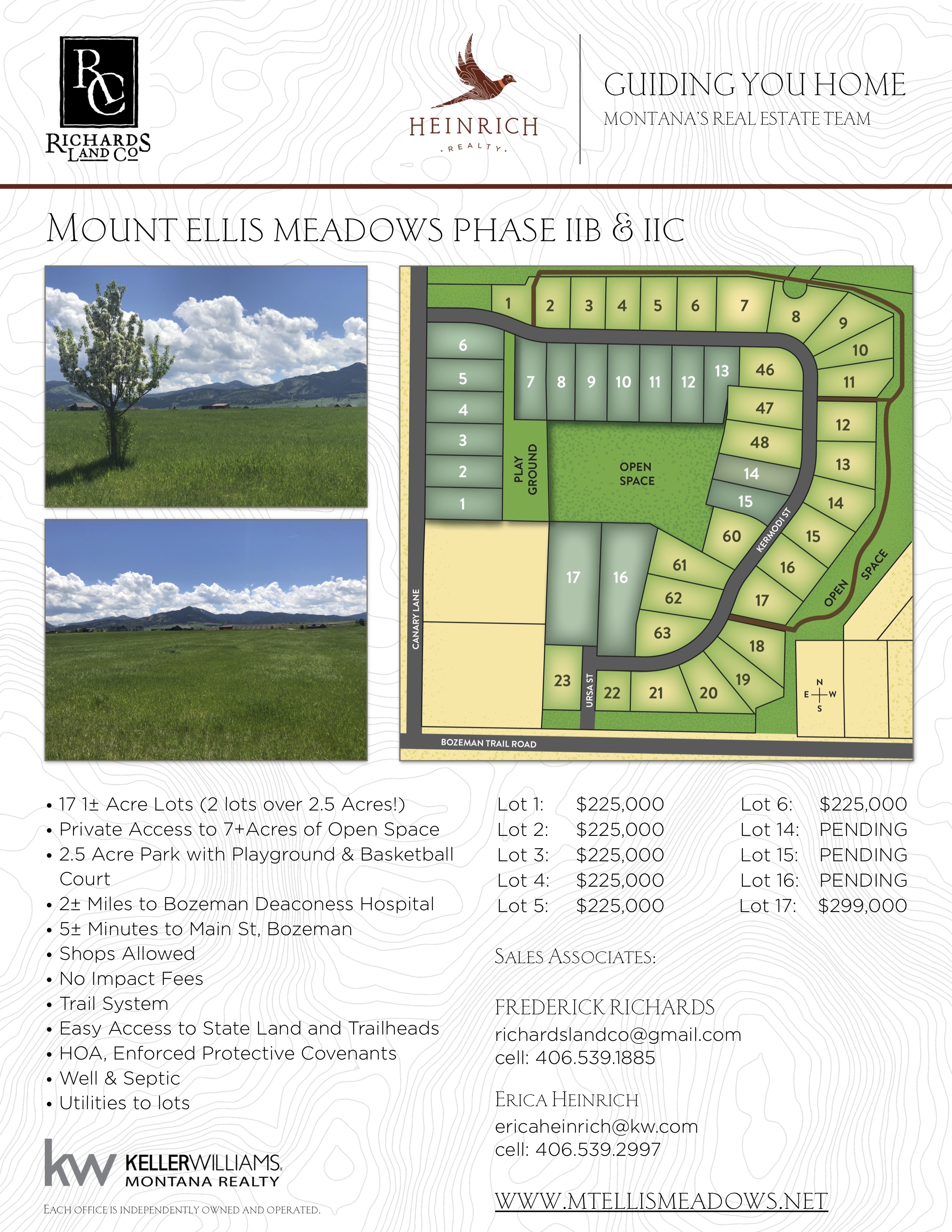 Mt-Ellis-Flyer-for-Subdivision-jpg.jpg#asset:174